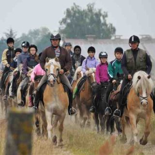 Deine Reiterferien - 1x Geländeritt