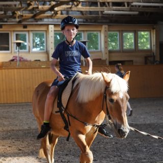 Reiterhof mit Schnupperreiten oder Kremserfahrt