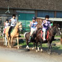 Reiterferien Mecklenburg