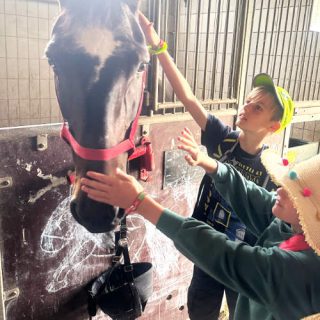 Reiterhof mit Schnupperreiten oder Kremserfahrt